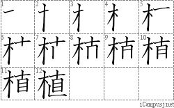 植: Stroke Order Diagram