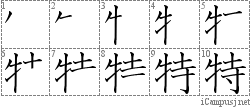 特: Stroke Order Diagram