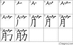 筋: Stroke Order Diagram