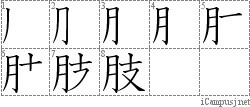 肢: Stroke Order Diagram