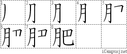 肥: Stroke Order Diagram