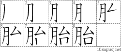 胎: Stroke Order Diagram