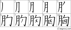 胸: Stroke Order Diagram