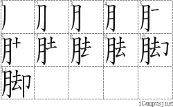 脚: Stroke Order Diagram