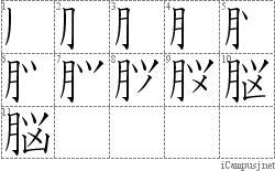 Stroke Order Diagram