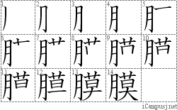 膜: Stroke Order Diagram