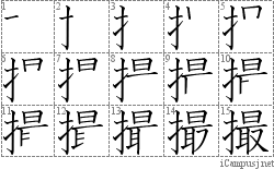 撮: Stroke Order Diagram