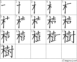 樹: Stroke Order Diagram