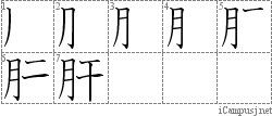 肝: Stroke Order Diagram