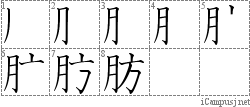 肪: Stroke Order Diagram