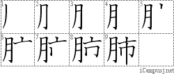 肺: Stroke Order Diagram