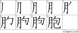 胞: Stroke Order Diagram