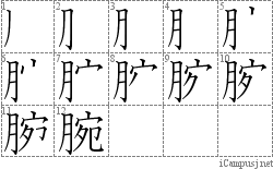 腕: Stroke Order Diagram