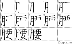 腰: Stroke Order Diagram