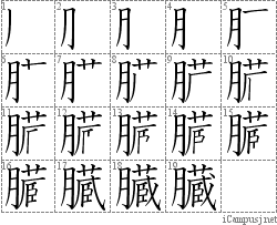 臓: Stroke Order Diagram