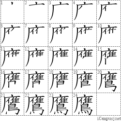 鷹 广イ隹鳥 漢字筆順辞書 Kanji Stroke Order Dictionary For Associative Learning